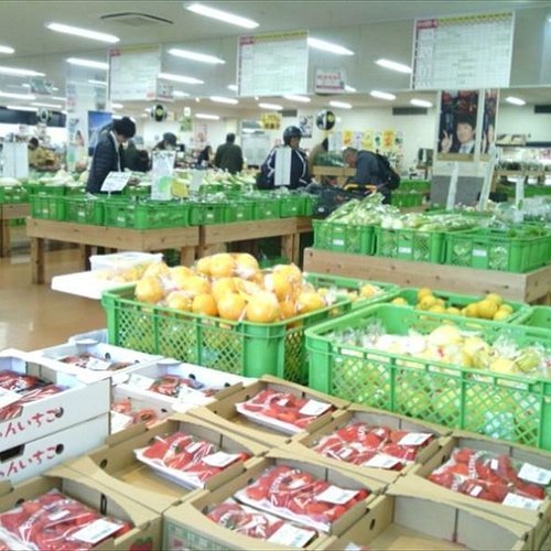 🛒 구마모토시 조난 지역 물산관(히노키미 마르셰) 이미지 3
